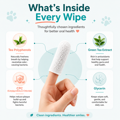 Pet Dental Finger Wipes